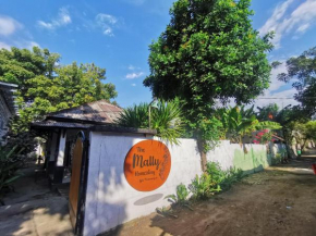 The Mally Homestay